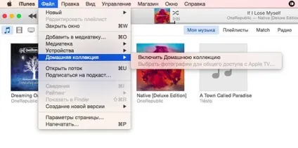 Пульт ду (remote)