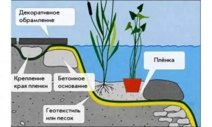 Ставок з бетону своїми руками поетапне будівництво - my life (ставок) Ставок з бетону своїми руками поетапне будівництво - my life