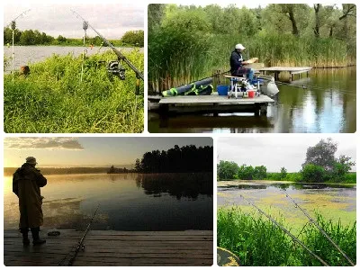 Розкриваємо секрети лову коропа спінінгом всі подробиці (спінінг для коропів) Розкриваємо секрети лову коропа спінінгом всі подробиці