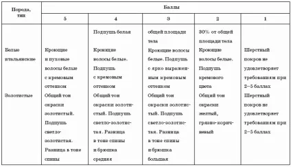 Розведення і вирощування нутрій в домашніх умовах для початківців (інвентар) Розведення і вирощування нутрій в домашніх умовах для початківців