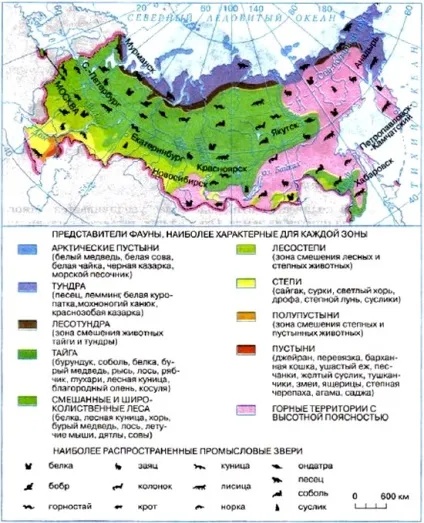 Рослинний і тваринний мірУкаіни