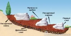 Рекомендації з будівництва альпінарію - важливі моменти (швидко покривається мохами лишайниками) Рекомендації з будівництва альпінарію - важливі моменти