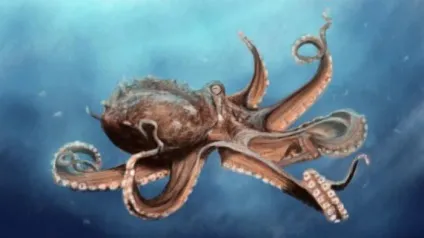 Реальні морські чудовиська (фото) (морські) Реальні морські чудовиська (фото)