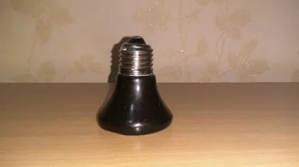 Рептилії ий варан