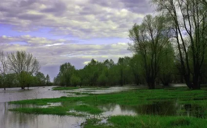 Річка Тойма (нп «нижня кама»), сайт присвячений туризму та подорожей (краєзнавство) Річка Тойма (нп «нижня кама»), сайт присвячений туризму і подорожей