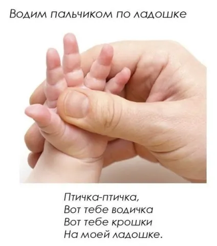 Рекомендації, ніж займатися з дитиною в 2 місяці для розвитку (місяці) Рекомендації, ніж займатися з дитиною в 2 місяці для розвитку