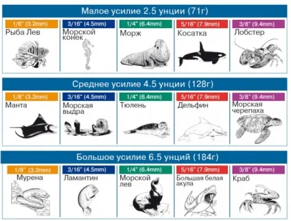 Гумки для брекетів різновиди, способи кріплення, рекомендації (рекомендації) Гумки для брекетів різновиди, способи кріплення, рекомендації