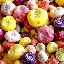 Садові квіти гладіолуси, приватний будинок