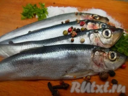 Салака пряного посолу в домашніх умовах - рецепт з фото