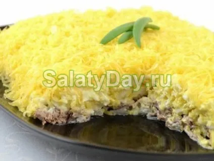 Салат чоловічі сльози - 15 рецептів які підкорять серце будь-якого чоловіка рецепт з фото і відео (чоловічі) Салат чоловічі сльози - 15 рецептів які підкорять серце будь-якого чоловіка рецепт з фото і відео