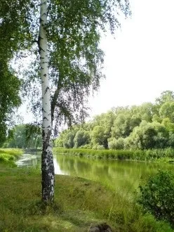 13 років
