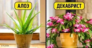 20 Фільмів для тих, хто мріє все змінити (фільмів) 20 Фільмів для тих, хто мріє все змінити