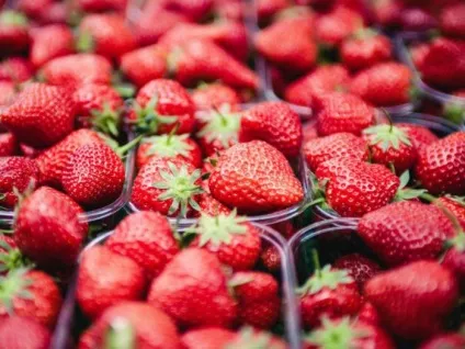 14 Продуктів, які можна їсти в будь-якій кількості і не боятися поправитися (бета-каротину корисного очей) 14 Продуктів, які можна їсти в будь-якій кількості і не боятися поправитися