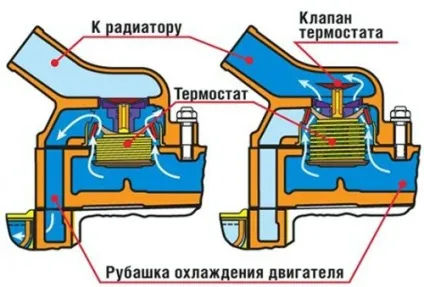 Самостійна заміна термостата на лада пріора (охолодження) Самостійна заміна термостата на лада пріора