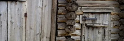 Сарай для гусей своїми руками - будуємо приміщення для птиці відео (руками) Сарай для гусей своїми руками - будуємо приміщення для птиці відео