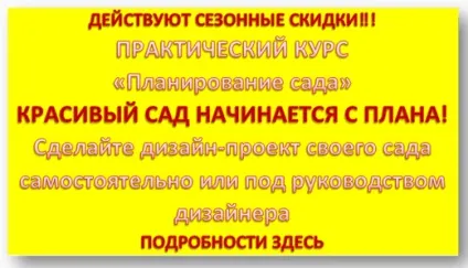 З чого почати облаштування дачної ділянки легка справа (ділянки) З чого почати облаштування дачної ділянки легка справа