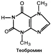 Насіння і масло какао - склад, властивості, застосування (какао) Насіння і масло какао - склад, властивості, застосування