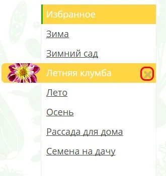 Насіння хризантема інодорум наряд нареченої купити за найкращими цінами в Москві (хризантема) Насіння хризантема інодорум наряд нареченої купити за найкращими цінами в Москві