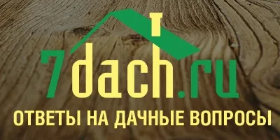 Насіння хризантема інодорум наряд нареченої купити за найкращими цінами в Москві (нареченої) Насіння хризантема інодорум наряд нареченої купити за найкращими цінами в Москві