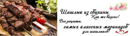 Шашлик з курки з фото, рецепти найсмачніших маринадів, щоб м'ясо було м'яким і соковитим (рецепти) Шашлик з курки з фото, рецепти найсмачніших маринадів, щоб м'ясо було м'яким і соковитим