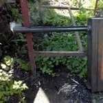 Тріска для копчення своїми руками - прокоптить (своїми) Тріска для копчення своїми руками - прокоптить