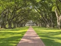 Штат Луїзіана, сша (louisiana, la, usa) (Луїзіана) Штат Луїзіана, сша (louisiana, la, usa)