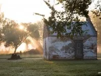Штат Луїзіана, сша (louisiana, la, usa) (Університету Коннектикуту) Штат Луїзіана, сша (louisiana, la, usa)