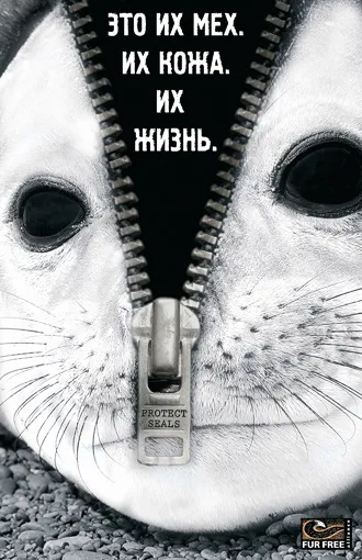 Шуба, енциклопедія моди