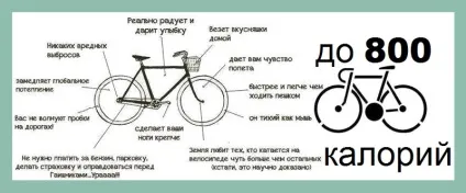 Скільки калорій спалює велосипед - худне про калорійність (калорій спалює велосипед) Скільки калорій спалює велосипед - худне про калорійність