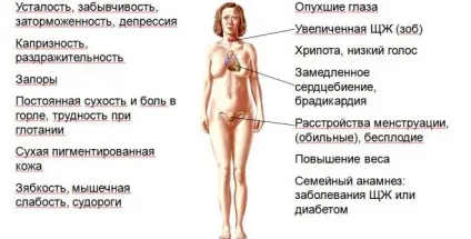 Симптоми гіпотиреозу у жінок в менопаузі - лікування щитовидної залози при клімаксі (лікування) Симптоми гіпотиреозу у жінок в менопаузі - лікування щитовидної залози при клімаксі