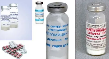 Симптоми ларинготрахеїту у курей, причини хвороби і опис її лікування (хвороби) Симптоми ларинготрахеїту у курей, причини хвороби і опис її лікування