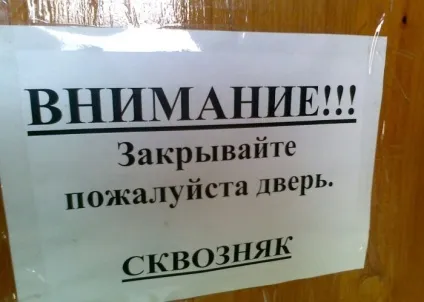 Скільки сохнуть бамбукові шпалери (сохнуть) Скільки сохнуть бамбукові шпалери
