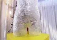 Скульптура з скотча від Діани Балашової (скульптура) Скульптура з скотча від Діани Балашової