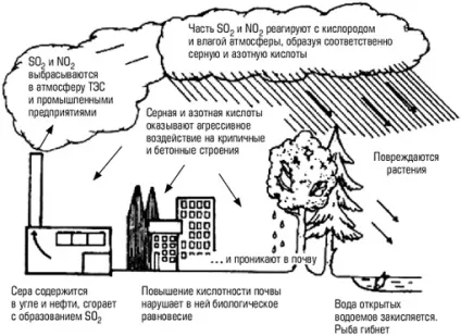 Смог лондонський і лос-анджелеський