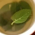 Сік селери користь і шкода (користь) Сік селери користь і шкода