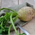 Сік селери користь і шкода (користь) Сік селери користь і шкода