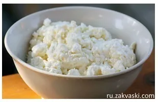 Солоний сир корисно і смачно
