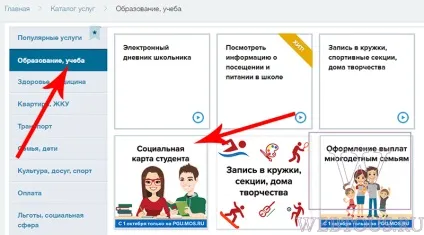 Соціальна карта студента як оформити онлайн, перевірити готовність, поповнити, безкоштовні онлайн (перевірити) Соціальна карта студента як оформити онлайн, перевірити готовність, поповнити, безкоштовні онлайн
