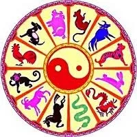 Сумісність мавпи і змії що обіцяє східний гороскоп (гороскоп) Сумісність мавпи і змії що обіцяє східний гороскоп