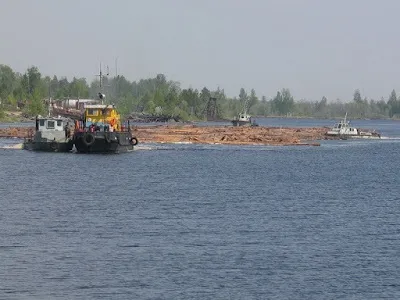 Сплав лісу по весняній воді як сплавляли ліс навесні, село вішкіль і околиці (ліси) Сплав лісу по весняній воді як сплавляли ліс навесні, село вішкіль і околиці