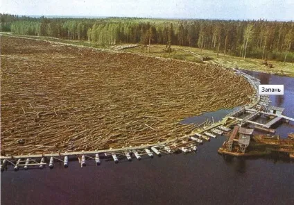 Сплав лісу по річці