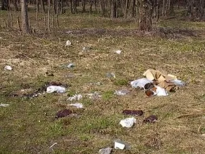 Терміни розкладання відходів скільки поколінь переживе ваша кошик для сміття, eco-boom (терміни розкладання побутових відходів) Терміни розкладання відходів скільки поколінь переживе ваша кошик для сміття, eco-boom