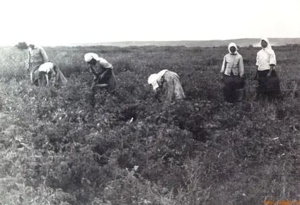 сталінське час