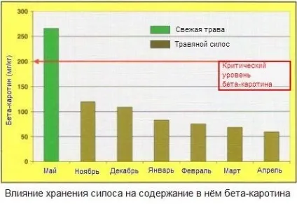 Статті про годівлю ВРХ на, вітамін а (корми в тваринництві) Статті про годівлю ВРХ на, вітамін а