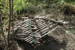 6 Простих капканів для видобутку їжі в лісі - виживання в дикій природі і екстремальних ситуаціях (капканів) 6 Простих капканів для видобутку їжі в лісі - виживання в дикій природі і екстремальних ситуаціях