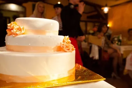 Весілля Олени та антона травневі котики, marry me, rustem! (30-60 гостей) Весілля Олени та антона травневі котики, marry me, rustem!