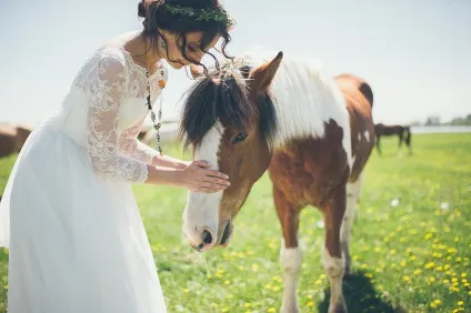 Весілля юлии і сергея заміська, вільна, нестандартна, marry me, rustem! (Запрошення) Весілля юлии і сергея заміська, вільна, нестандартна, marry me, rustem!