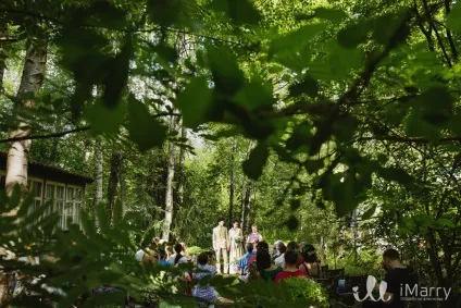 Весілля та дачі