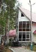 Тамада на весілля в Запоріжжі