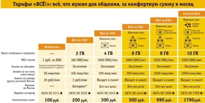 Тариф «все за 300» в билайн опис і способи підключення (тариф) Тариф «все за 300» в билайн опис і способи підключення